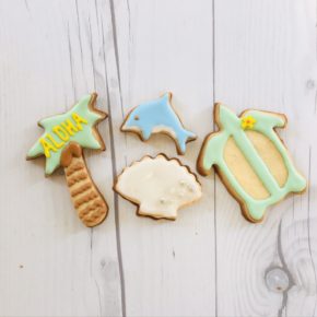 Cookie Decorating Kit | クッキーデコレーションキット