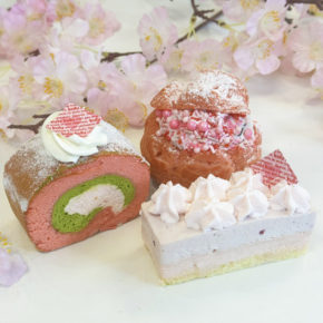 🌸Sakura Desserts for March | 3月は桜デザート🌸
